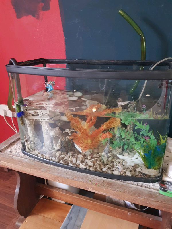 aquarium pump setup